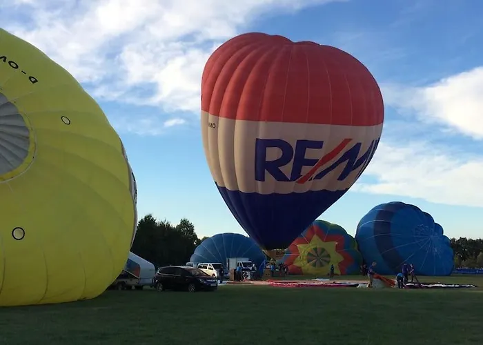 Modigliani フェラーラ